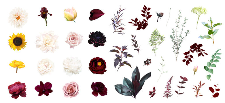 Moody boho trendy vector design floral big set. Pink blush rose, burgundy red dahlia, dark peony, yellow sunflower, iris, tulip, orchid, dahlia, greenery. Wedding decoration. Isolated and editable