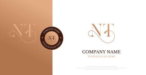 Initial NT Logo Design Vector 