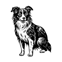 Border collie illustration in vintage style 