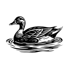 Duck swimming illustration in vintage style 