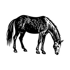 Grazing horse illustration in vintage style 