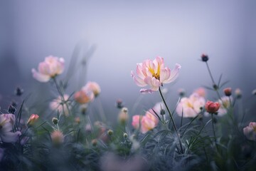 Blooming flowers sway gently under soft morning light in a serene meadow landscape