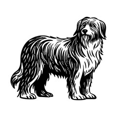 A vintage style illustration of sheepdog