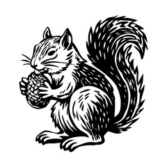 Squirrel eating illustration in vintage style 
