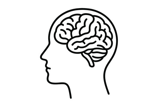 Outline of a human head with a detailed brain illustration representing thought and intelligence
