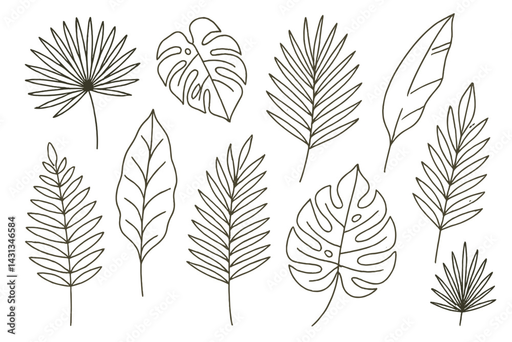 Poster Collection of hand-drawn vector icons featuring various leaf designs and shapes for use in graphic projects