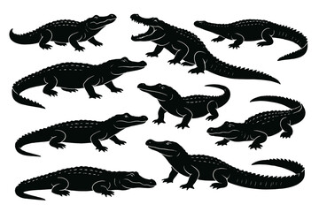 Fototapeta premium Icon set featuring various silhouettes of crocodiles arranged in multiple positions and angles