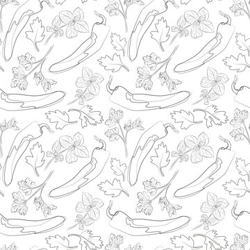Seamless simple pattern with hot chili peppers. Black and white vegetables line vector texture. Background with paprika sketches illustration. Hand drawn pepper on white background. Parsley greens.