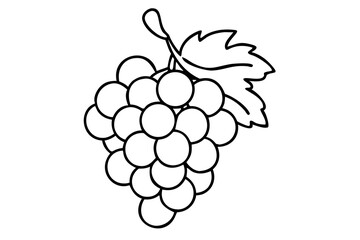 Grapes Illustration for Fresh Fruit Art, Vineyard Produce Sketch, Healthy Snack Drawing