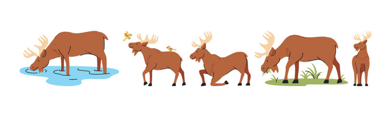 Illustration featuring various moose engaging in drinking, eating, standing and more. The style is clean and modern, perfect for various media projects.