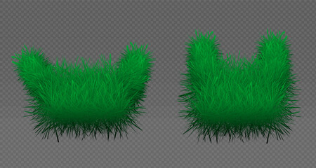 Grass border, vector, illustration. Vector image of grass, lawn. Grass and lawn in PNG format. Green grass with sunny, bright highlights.