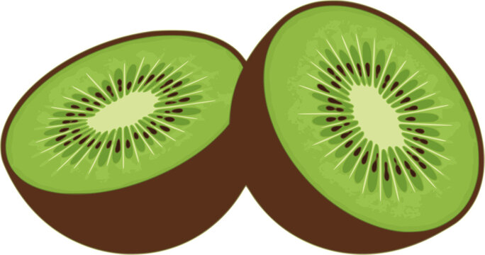 recommend clip art: kiwi fruit icon, kiwi fruit vector illustration-simple illustration of kiwi fruit, perfect for kiwi fruit logos and icons
                    