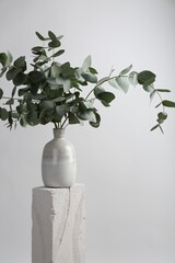 Green eucalyptus branches in vase on stone against light background