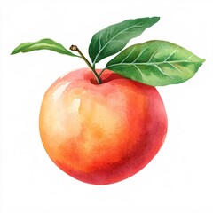 Detailed Cutout Style Artwork of a Fresh Nectarine on White Background