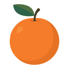 Flat design vector illustration of orange
on white background. 