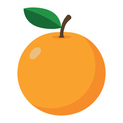 Flat design vector illustration of orange on white background. A bold, vibrant palette in flat design style.