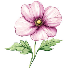 Lovely pink flower with green leaves on a white isolated background.