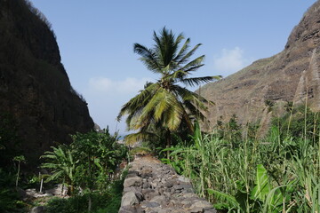 Tropische Vegetation in einem Tal auf Santo Antão in Kap Verde Kapverdische Inseln