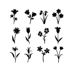 Flower icons set isolated on transparent background. Silhouettes spring flower icon set. Garden plants illustration sign collection. Beautiful symbol.
