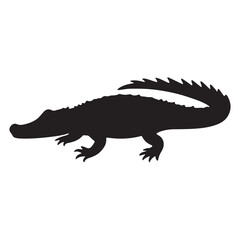 crocodile isolated on white