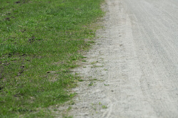 A gravel road stretches through a serene rural area, bordered by lush green grass. Soft sunlight warms the scene, inviting tranquil walks and outdoor adventures