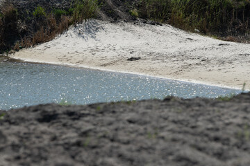 The sandy bank of a river gently curves alongside tranquil waters reflecting sunlight. Sparse greenery grows nearby, enhancing the serene atmosphere of this outdoor setting