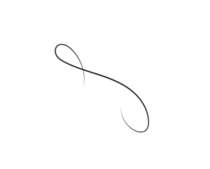 png hand drawn illustration of black and white paint brush frame abstract ornament set graphic equalizer design background ink zigzag curvature decoration isolated vector

