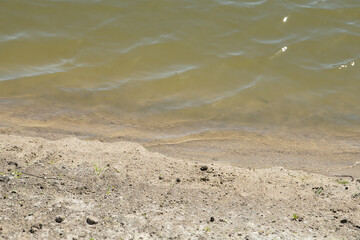 Soft ripples break against the sandy bank of a calm lake under a bright sun. The warm light creates a peaceful atmosphere as nature thrives nearby