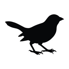 Obraz premium Silhouette of sparrow vector art illustration on a white background