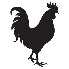 rooster isolated on white background