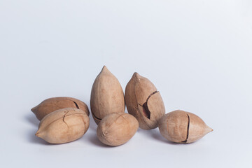 pecan nuts on white background close up