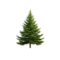 Fototapeta premium Snow-Dusted Evergreen Tree Isolated on Transparent Background