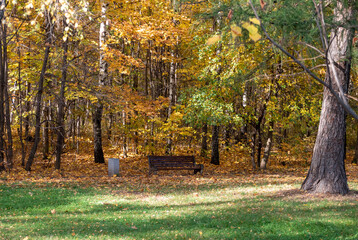 A large bench in the autumn park of Moscow without people