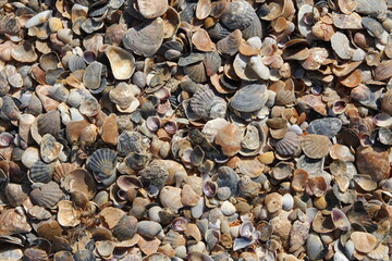 Beautiful old stone background of textured stone on the wall