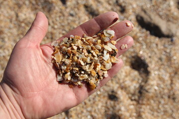 Girl holds a handful of sea shells.