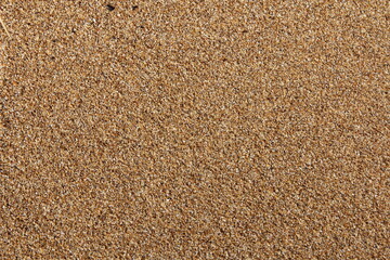 Beautiful old stone background of textured stone on the wall