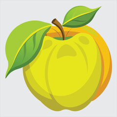 Quince fruit vector art illustration.