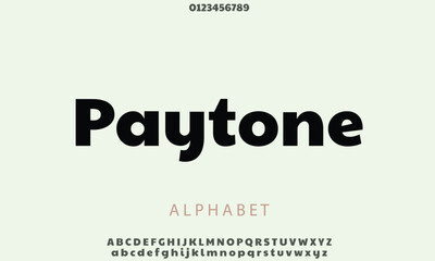 Luxury Paytone One alphabet letters font for logo