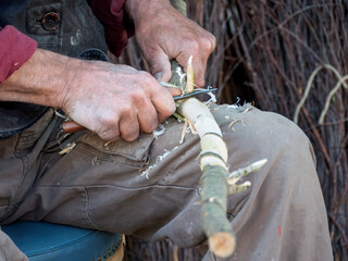 Craftsman Skillfully Carving a Branch with Precision