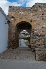 Fototapeta premium La imagen muestra la Puerta de Santa Lucía en Úbeda, con su arco de medio punto de piedra y vistas de la ciudad a través de ella.