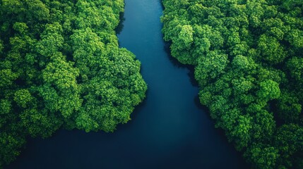 Naklejka premium Lush forest meets tranquil river