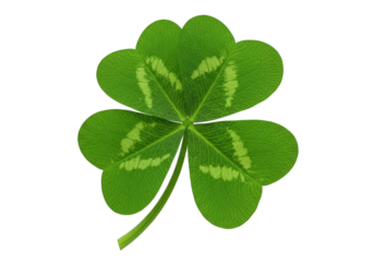 Four-leaf clover,  lucky charm