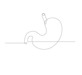 continuous line drawing of stomach, anatomy concept on minimalist white background. vector illustration