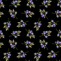Seamless pattern with watercolor branches of blueberries, a delicate ornament of berries. For fabric, textile design, digital paper. Black background