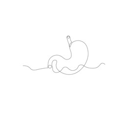continuous line drawing of stomach, anatomy concept on minimalist white background. vector illustration