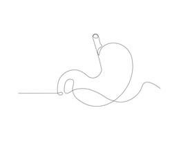 Fototapeta premium continuous line drawing of stomach, anatomy concept on minimalist white background. vector illustration