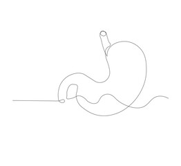 continuous line drawing of stomach, anatomy concept on minimalist white background. vector illustration