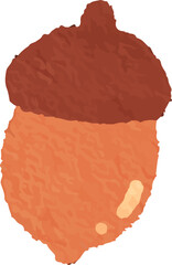 clip art cute watercolor illustration of nut, walnut, acorn autumn for background asset