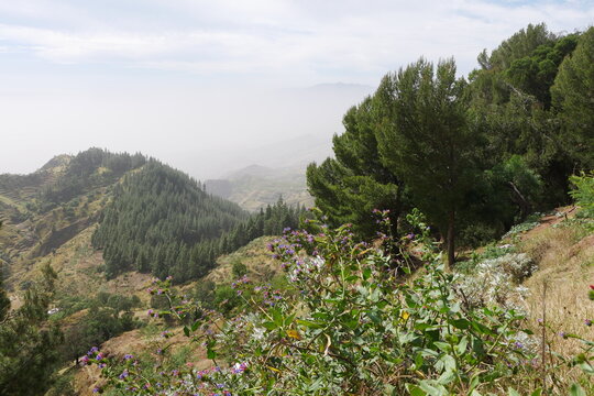 Berglandschaft auf Santo Ant&aacute;o im Saharanebel