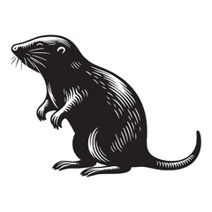 Defined mole silhouette vector ideal for professional digital assets – mole silhouette – mole vector – mole illustration – silhouette of mole – mole icon

